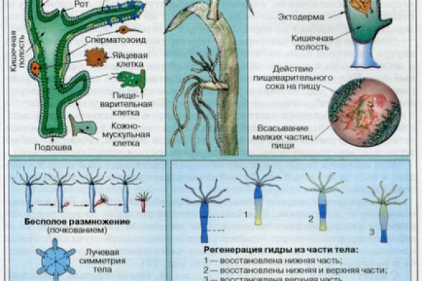 Вход в кракен