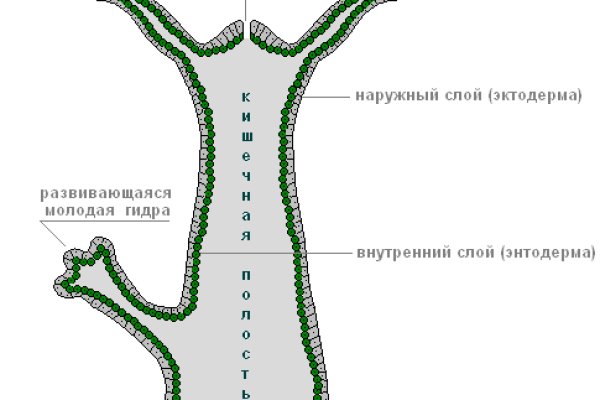 Кракен аккаунт не найден